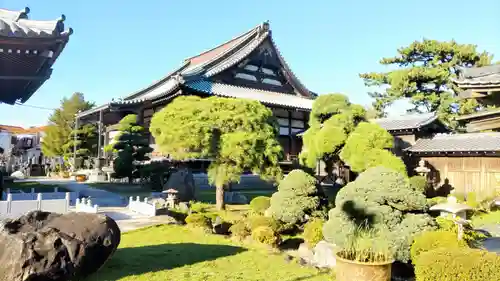 徳願寺(千葉県)