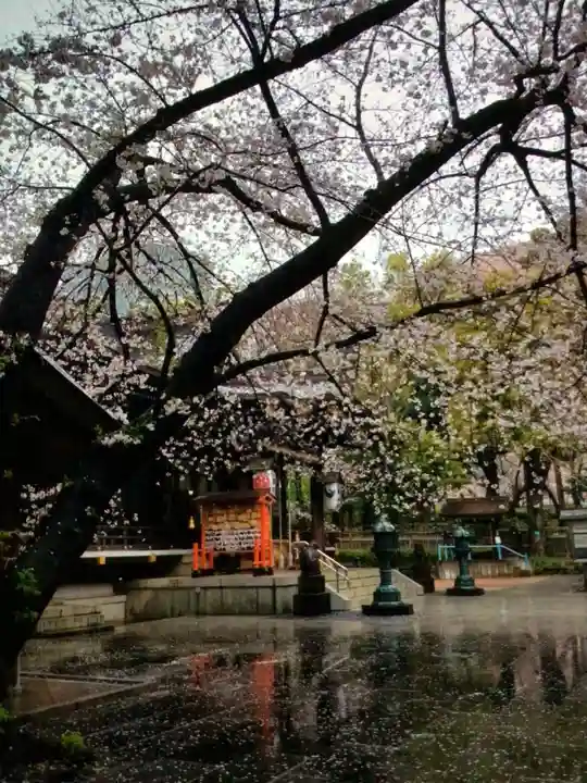 熊野神社(東京都)