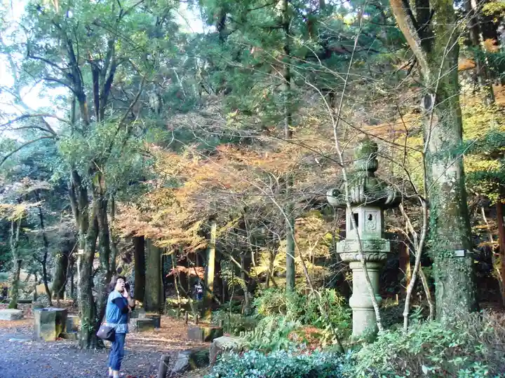 成田山新勝寺の自然