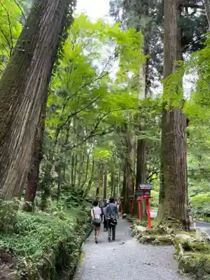貴船神社奥宮(京都府)