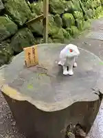 日光二荒山神社の狛犬