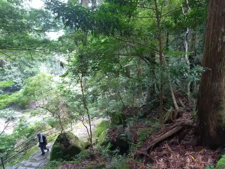 飛瀧神社(熊野那智大社別宮)(和歌山県)