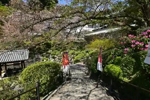 岡寺（龍蓋寺）(奈良県)