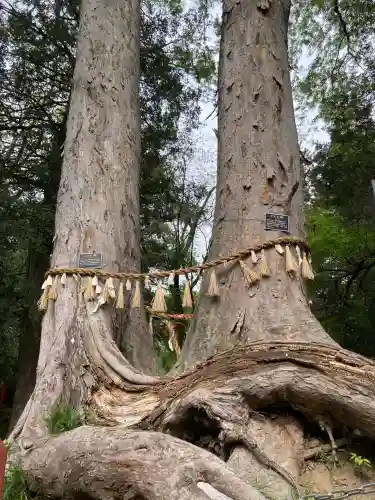 妻沼聖天山歓喜院(埼玉県)