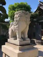 荒井神社の狛犬