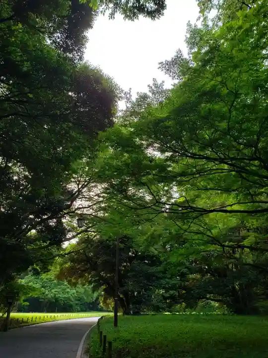 明治神宮(東京都)