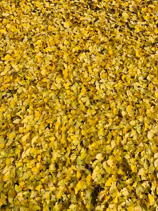 土津神社|こどもと出世の神さまの自然