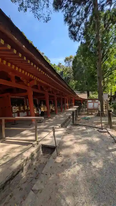 春日大社(奈良県)