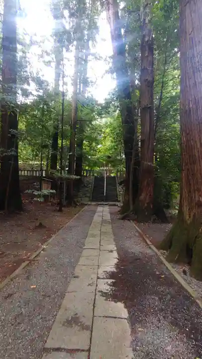 萩日吉神社(埼玉県)