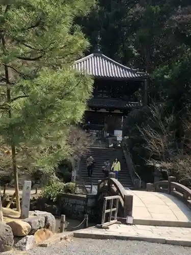 知恩院(京都府)