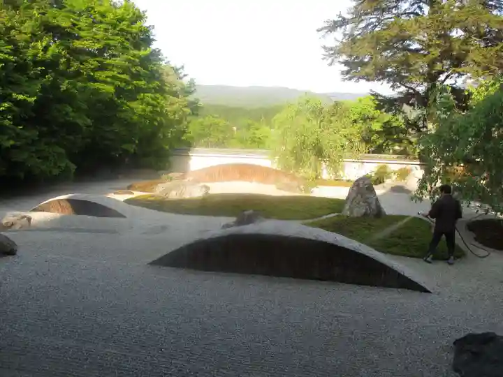 実相院門跡の庭園