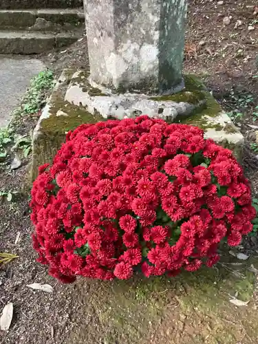 大宮温泉神社の自然