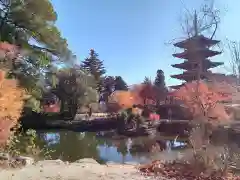 成相寺(京都府)