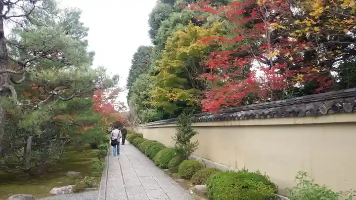 大徳寺(京都府)
