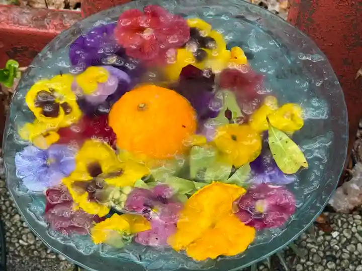 川越八幡宮(埼玉県)