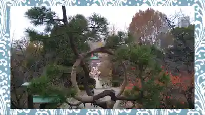 清水観音堂(東京都)