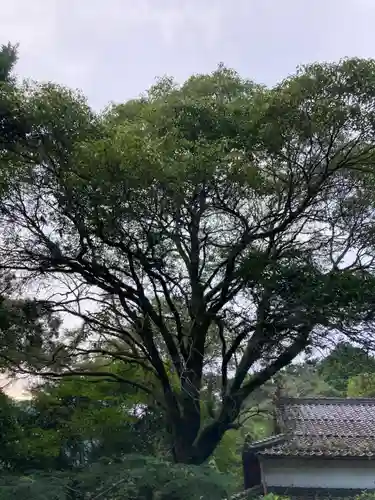 補陀落寺のその他建物