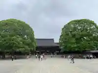 明治神宮(東京都)