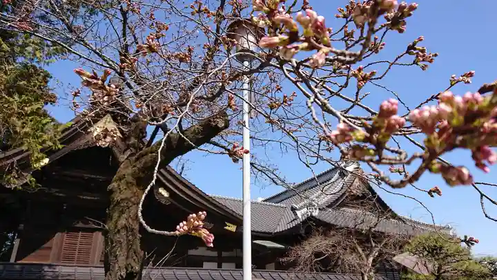 箭弓稲荷神社のその他建物