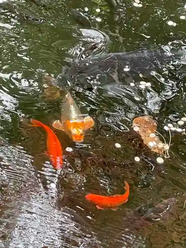 白石神社(北海道)