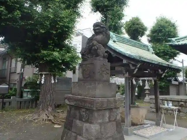 上平間八幡大神の狛犬