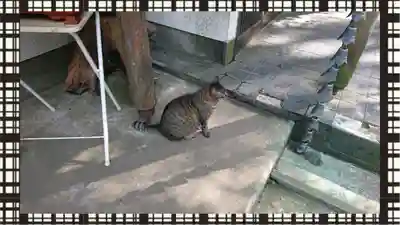 間々田八幡宮(栃木県)