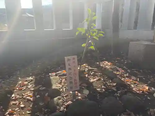 天縛皇神社(神奈川県)