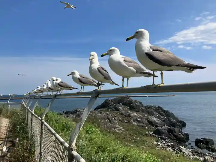 蕪嶋神社(青森県)