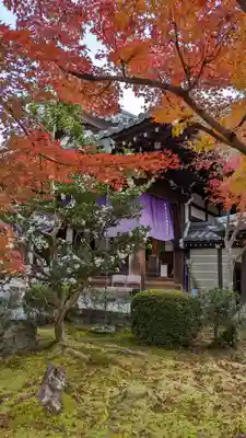 禅林寺(永観堂)(京都府)