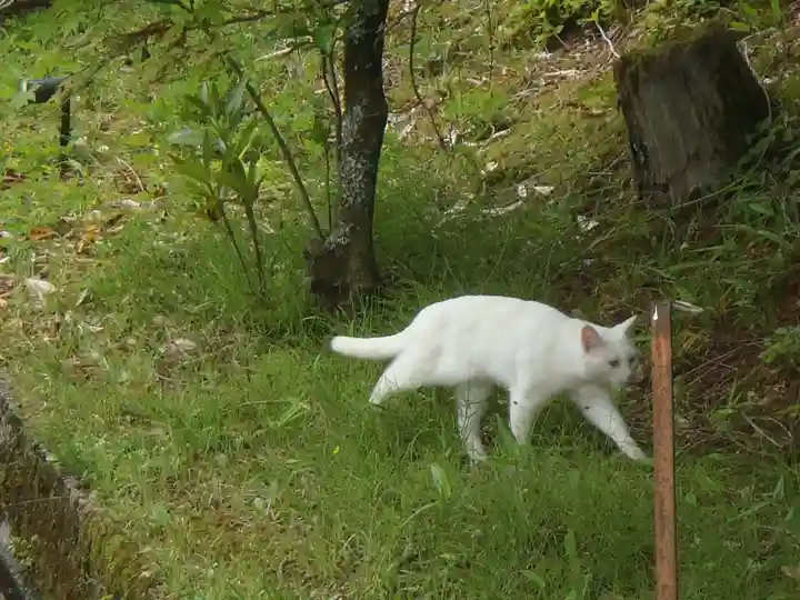 黄梅院(岐阜県)