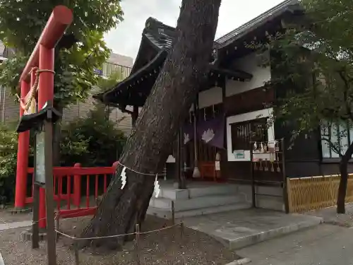 猿田彦神社の{uncategorized: "未分類", other: "その他", undefined: "問題あり", building: "その他建物", grave: "お墓", sacred_gate: "鳥居", guardian: "狛犬", statue: "像", buddha: "仏像", history: "歴史", nature: "自然", garden: "庭園", animal: "動物", pagoda: "塔", temizu: "手水舎", mountain_gate: "山門・神門", sanctuary: "本殿・本堂", subordinate: "末社・摂社", art: "芸術", scenery: "景色", jizo: "地蔵", ema: "絵馬", goshuin: "御朱印", omikuji: "おみくじ", items: "授与品その他", amulet: "お守り", goshuincho: "御朱印帳", eats: "食事", festival: "お祭り", votive_dance: "神楽", shichigosan: "七五三参", wedding: "結婚式", experience: "体験その他", initially: "初詣", around: "周辺", anti_infection: "感染症対策"}