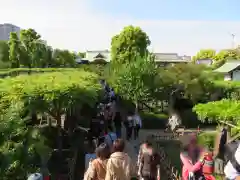 亀戸天神社の庭園