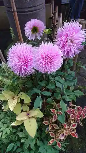 上野東照宮(東京都)