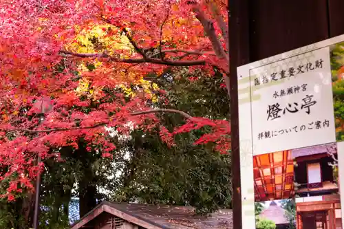 水無瀬神宮(大阪府)