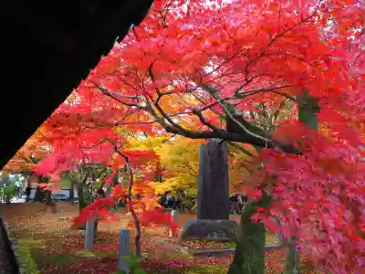 東福禅寺(東福寺)(京都府)