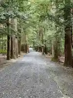 瀧原宮(皇大神宮別宮)の{uncategorized: "未分類", other: "その他", undefined: "問題あり", building: "その他建物", grave: "お墓", sacred_gate: "鳥居", guardian: "狛犬", statue: "像", buddha: "仏像", history: "歴史", nature: "自然", garden: "庭園", animal: "動物", pagoda: "塔", temizu: "手水舎", mountain_gate: "山門・神門", sanctuary: "本殿・本堂", subordinate: "末社・摂社", art: "芸術", scenery: "景色", jizo: "地蔵", ema: "絵馬", goshuin: "御朱印", omikuji: "おみくじ", items: "授与品その他", amulet: "お守り", goshuincho: "御朱印帳", eats: "食事", festival: "お祭り", votive_dance: "神楽", shichigosan: "七五三参", wedding: "結婚式", experience: "体験その他", initially: "初詣", around: "周辺", anti_infection: "感染症対策"}