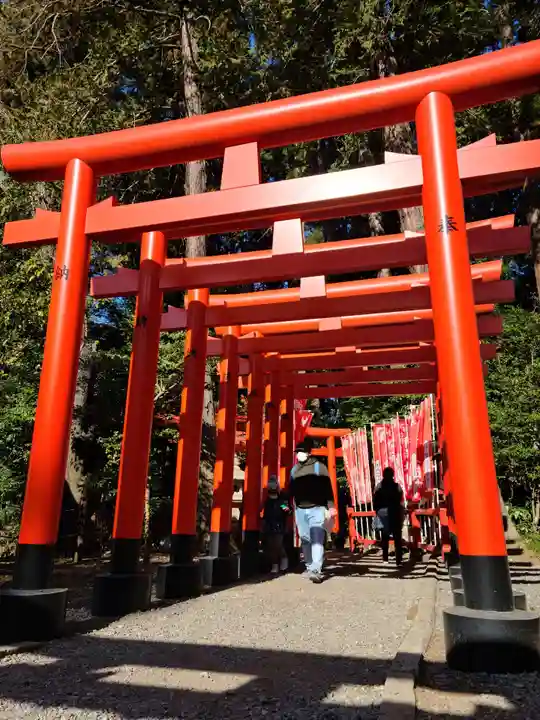 常磐神社の鳥居