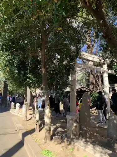 氷川神社の鳥居
