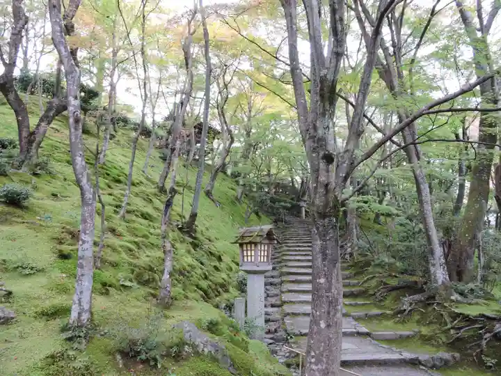 常寂光寺(京都府)