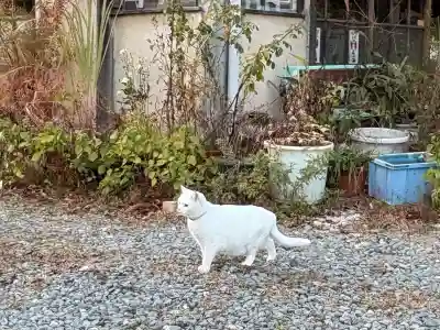 神咒寺(兵庫県)