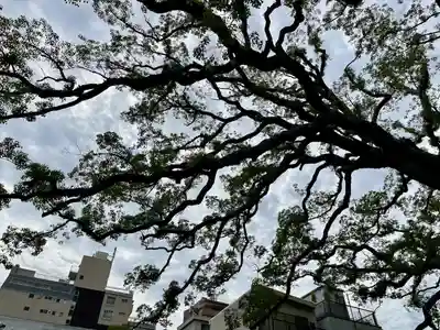 大雄寺(東京都)