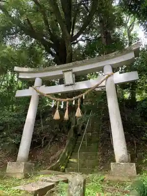 諏訪神社(千葉県)
