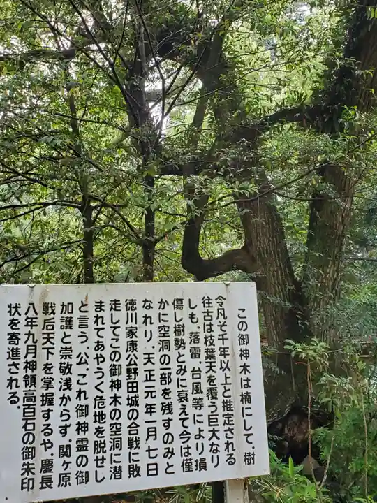 賀茂神社の自然