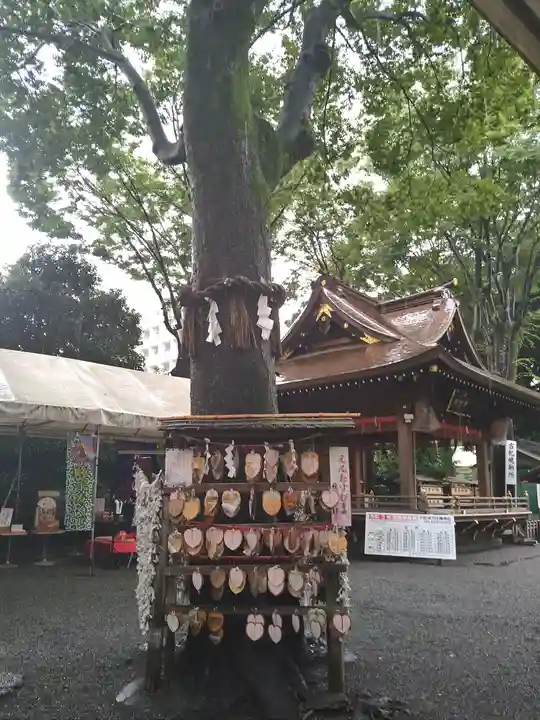 子安神社の自然