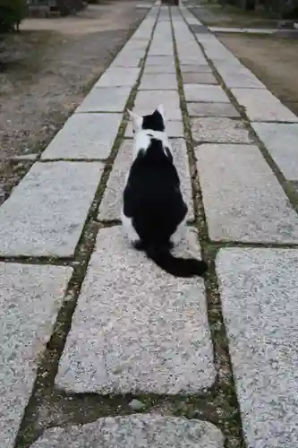 観音正寺(滋賀県)