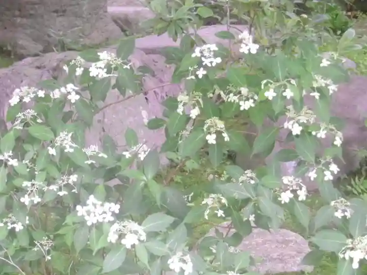 覚園寺のその他建物