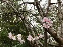 検見川神社の自然