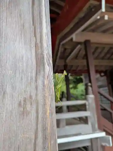 金蛇水神社(宮城県)