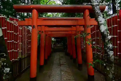 鹿島神宮(茨城県)