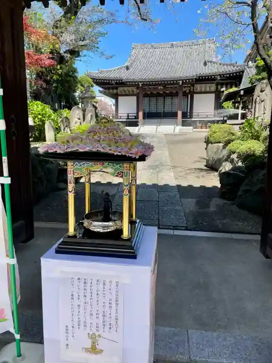 実相院の{uncategorized: "未分類", other: "その他", undefined: "問題あり", building: "その他建物", grave: "お墓", sacred_gate: "鳥居", guardian: "狛犬", statue: "像", buddha: "仏像", history: "歴史", nature: "自然", garden: "庭園", animal: "動物", pagoda: "塔", temizu: "手水舎", mountain_gate: "山門・神門", sanctuary: "本殿・本堂", subordinate: "末社・摂社", art: "芸術", scenery: "景色", jizo: "地蔵", ema: "絵馬", goshuin: "御朱印", omikuji: "おみくじ", items: "授与品その他", amulet: "お守り", goshuincho: "御朱印帳", eats: "食事", festival: "お祭り", votive_dance: "神楽", shichigosan: "七五三参", wedding: "結婚式", experience: "体験その他", initially: "初詣", around: "周辺", anti_infection: "感染症対策"}